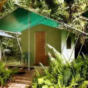 Jungle Hotel